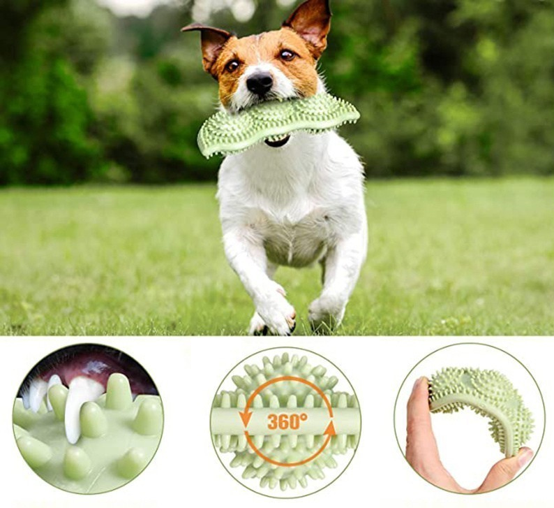 Bit-leksak som är bra för hundens tänder i 3 olika färger.