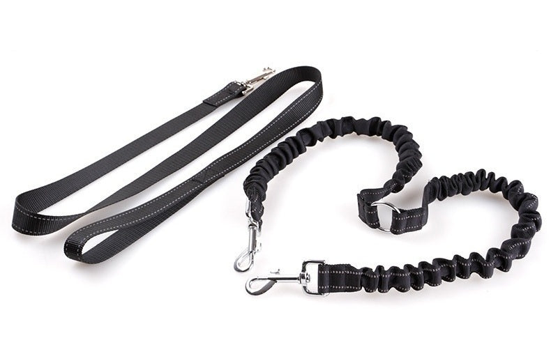 Koppel + Dubbel ändat Drag-rep för trassel-fria promenader!