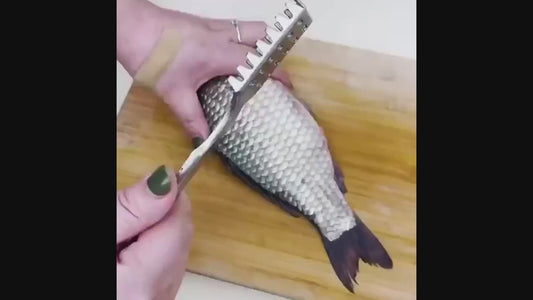 Fiskfjälls-skrapa i rostfritt stål